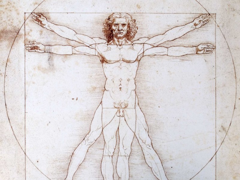 Nude drawing of Leonardo da Vinci